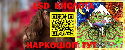 прущие грибы Славгород