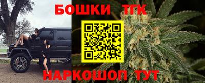 прущие грибы Славгород