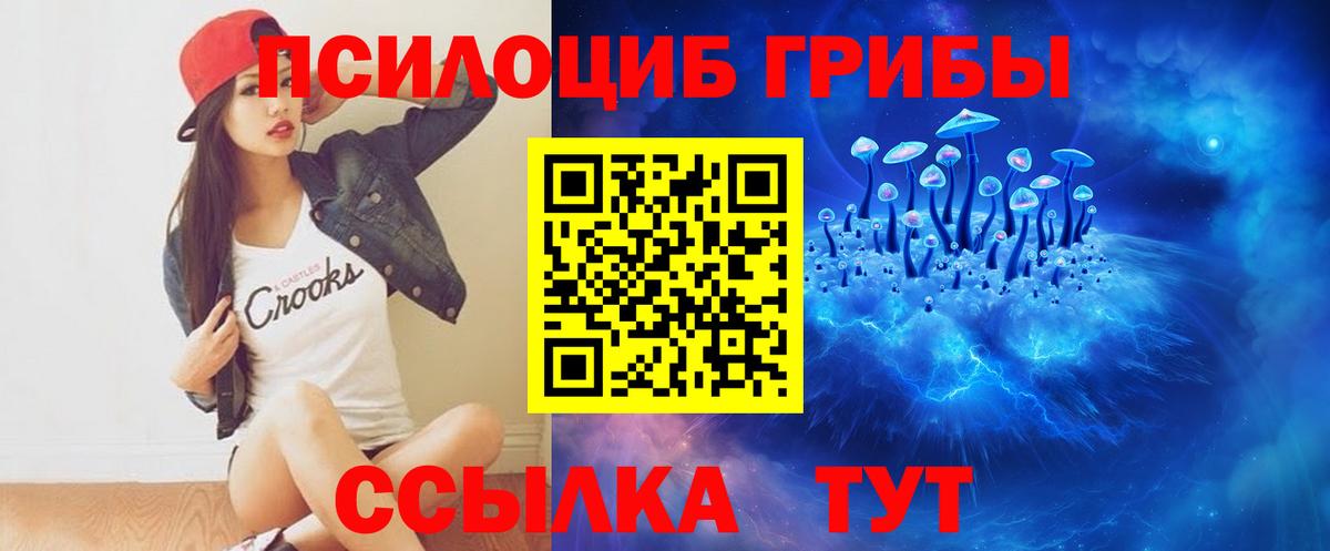 Нижнеудинск  Галлюциногенные грибы прущие грибы  наркота  Вход с VPN 